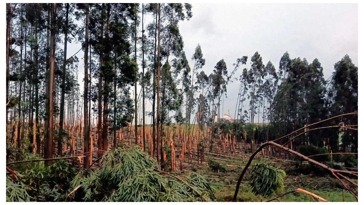 Tornados en Brasil: impacto en la región